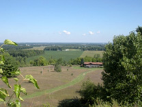 ColdWater Road Auction