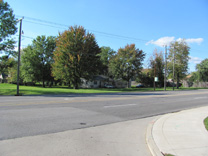 ColdWater Road Auction
